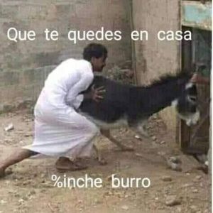 Meet your Posher, Teresa